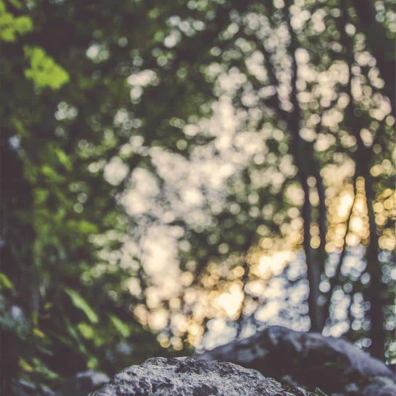 Allume feu sans odeur 30 cubes