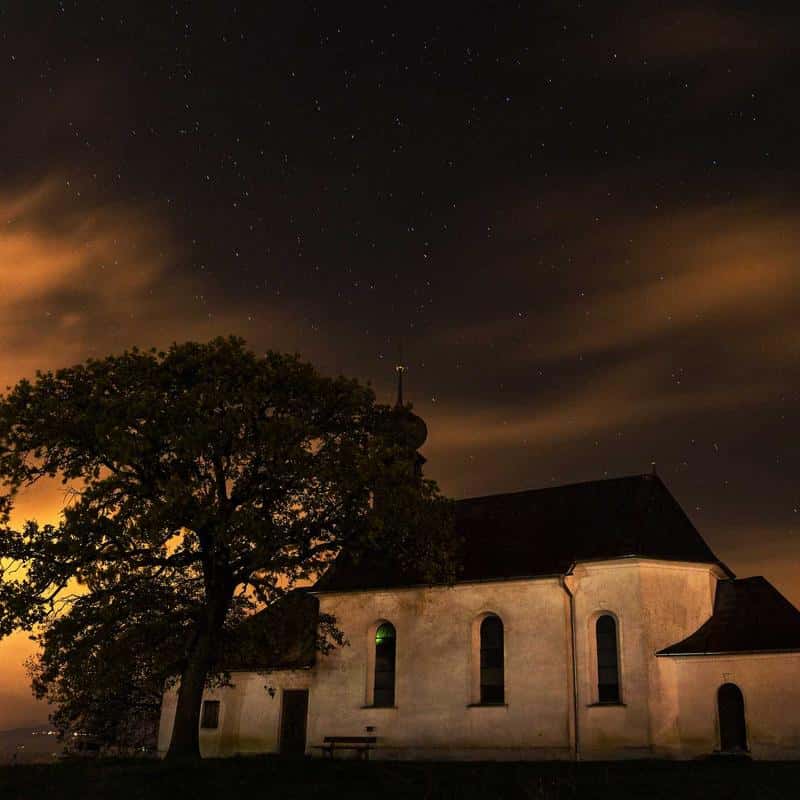 Allume feu bois compresse X72 1828