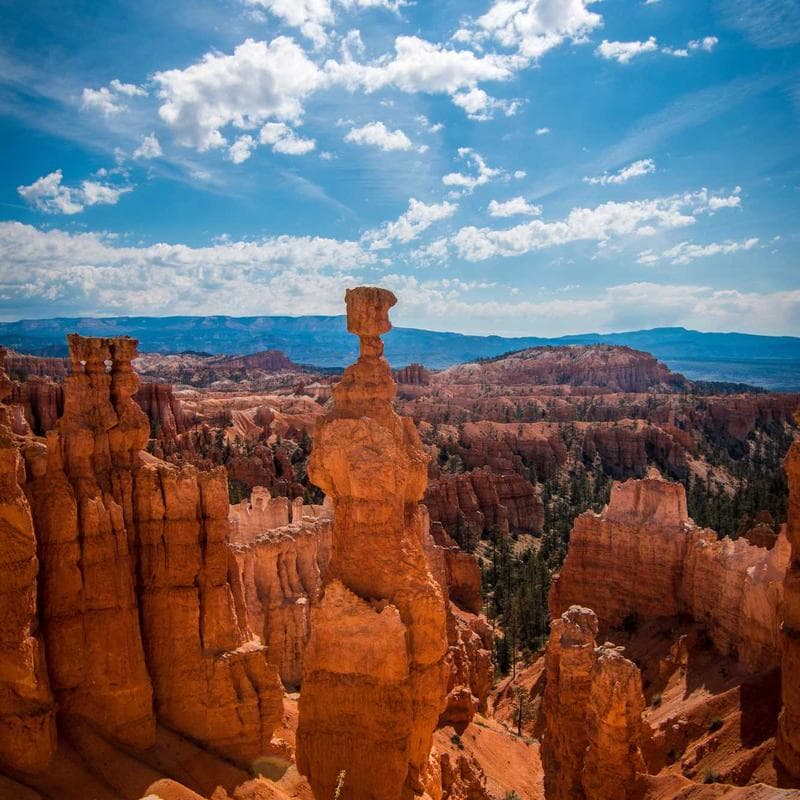 Base d'activités - BAMBISOL - 3 hauteurs d'assise - Activités ludiques - Multicouleurs