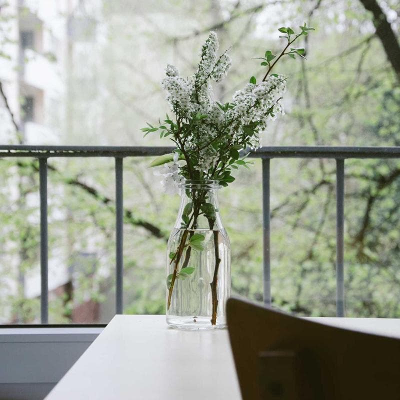 Baby Art Pure Frame - Kit Cadre avec Pâte a Modeler et Cadre Bois Pin Naturel, Rouleau, Panneau Arriere Réversible (Vert/Orange)