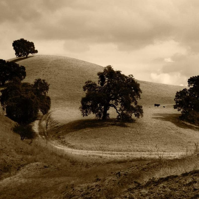 Boite a  trésors et journal de naissance - Multicolore - 22 x 31 x 10 cm